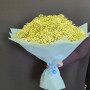 Букет из 51 белой гипсофилы — вид 2